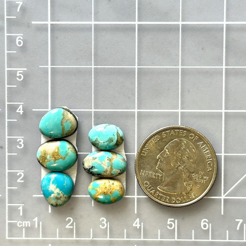 Small Sky Blue Mixed Number 8 Turquoise, Set of 6 Dimensions