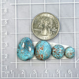 Medium Sky Blue Freeform Prince Egyptian Turquoise, Set of 4 Dimensions