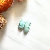 Small Faint Green Mixed Crescent Lake Variscite, Set of 2 Background