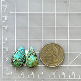 Medium Sky Blue Teardrop Wild Horse Turquoise, Set of 2 Dimensions