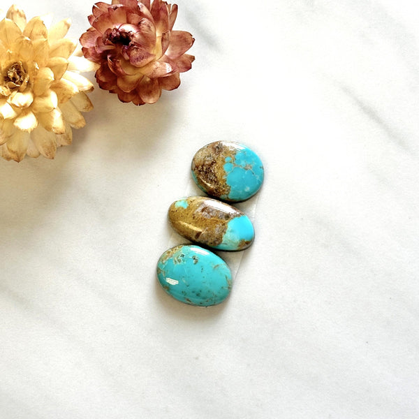 Small Sky Blue Oval Royston Turquoise, Set of 3 Background