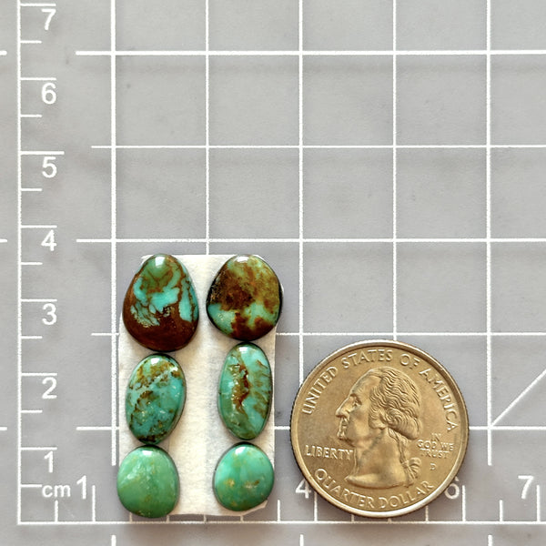 Small Mint Green Freeform Carico Lake Turquoise, Set of 6 Dimensions