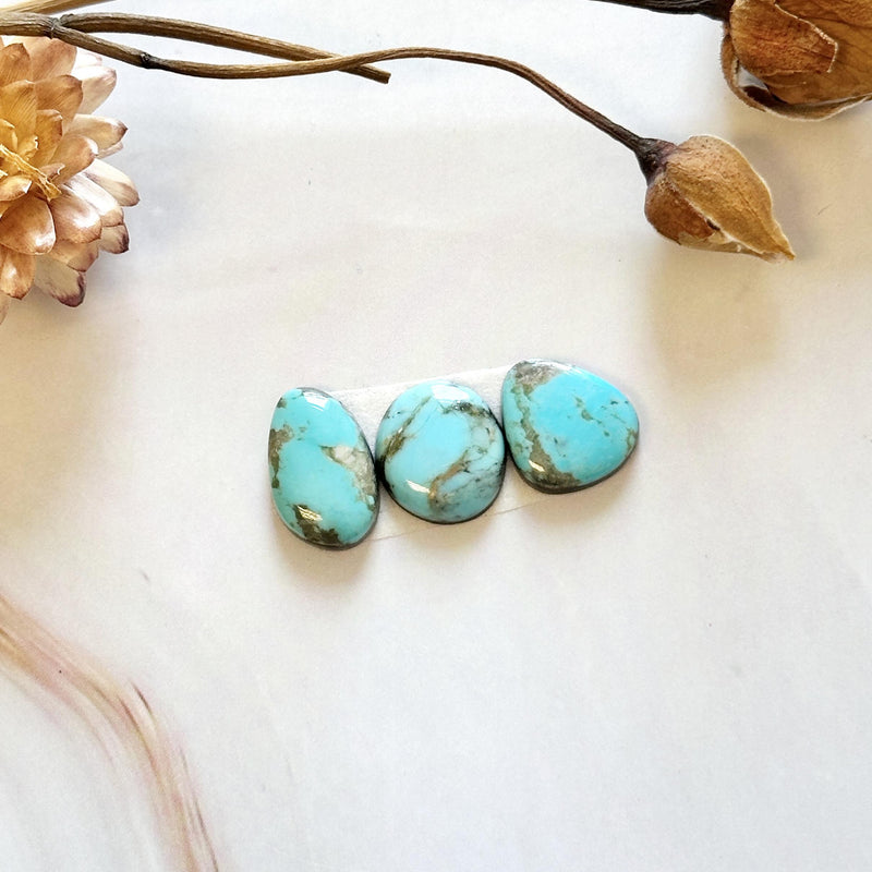 Small Sky Blue Freeform Pilot Mountain Turquoise, Set of 3 Background