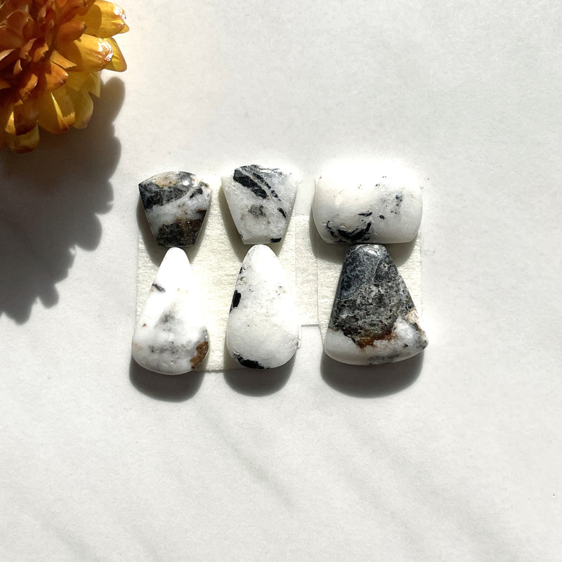 Small Mixed Mixed White Buffalo Dolomite, Set of 6 Background