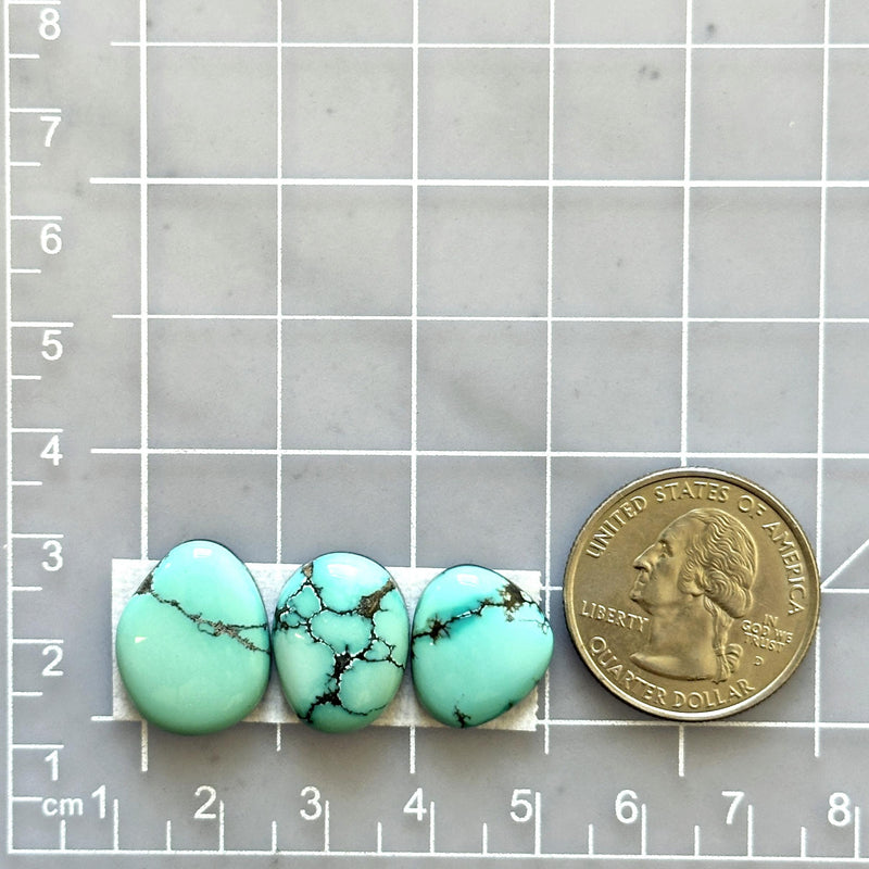 Medium Sky Blue Mixed Treasure Mountain Turquoise, Set of 3 Dimensions