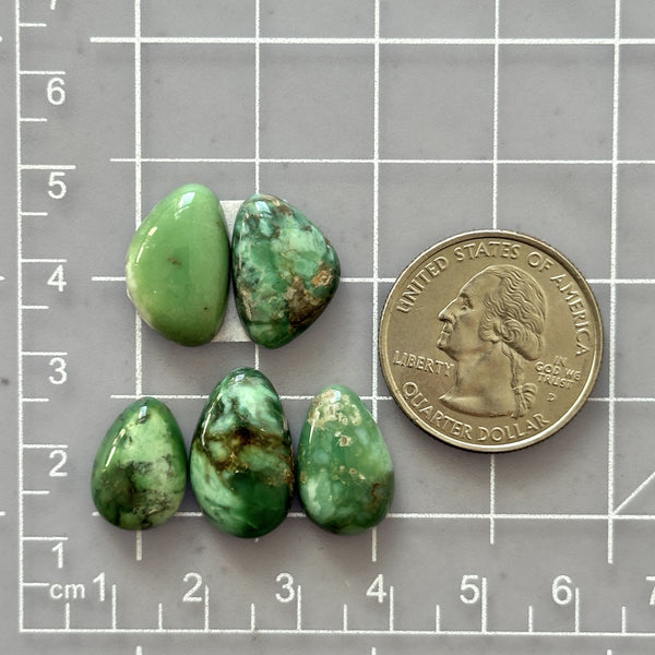 Small Sea Green Mixed Broken Arrow Variscite, Set of 5 Dimensions