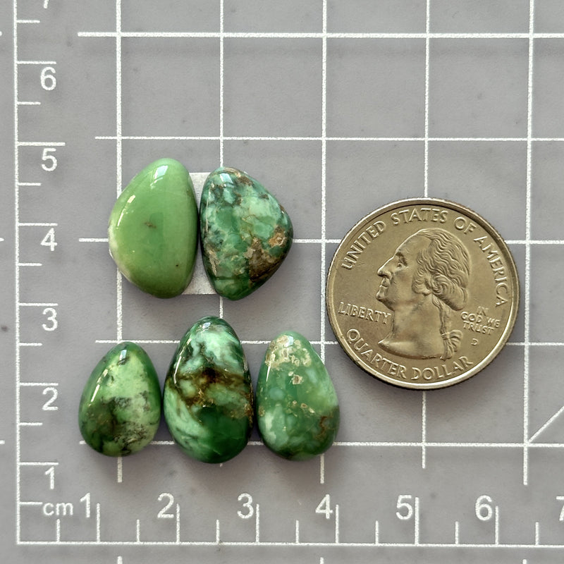 Small Sea Green Mixed Broken Arrow Variscite, Set of 5 Dimensions