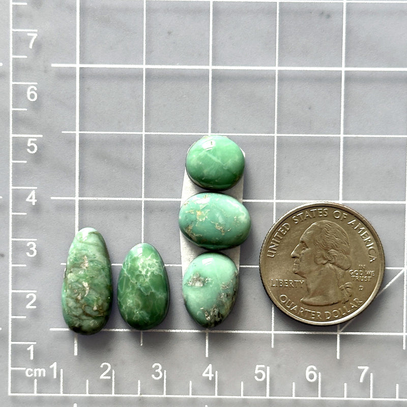 Small Mint Green Mixed Broken Arrow Variscite, Set of 5 Dimensions