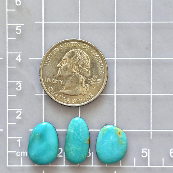 Medium Ocean Blue Freeform Kingman Turquoise, Set of 3 Dimensions