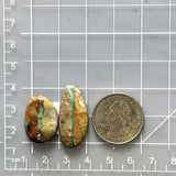 Medium Sky Blue Freeform Royston Turquoise, Set of 2 Dimensions