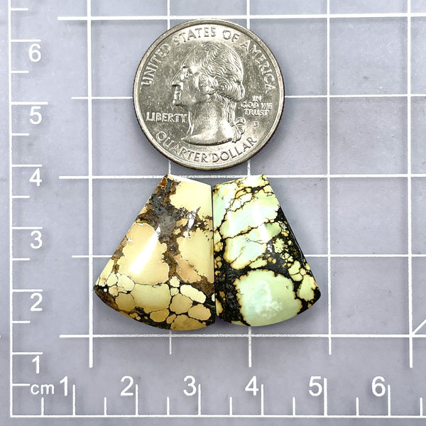 Large Mixed Petal Treasure Mountain Turquoise, Set of 2 Dimensions