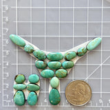 Small Lime Green Mixed Tyrone Turquoise, Set of 20 Dimensions