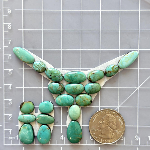 Small Lime Green Mixed Tyrone Turquoise, Set of 20 Dimensions