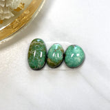 Small Sea Green Freeform Carico Lake Turquoise, Set of 3 Background