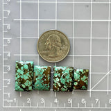 Medium Bamboo Green Bar Bamboo Mountain Turquoise, Set of 4 Dimensions