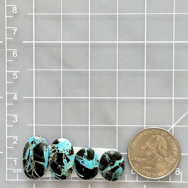 Medium Ocean Blue Oval Yungai Turquoise, Set of 4 Dimensions