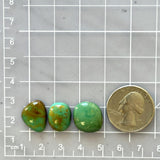 Small Deep Green Freeform Tyrone Turquoise, Set of 3 Dimensions