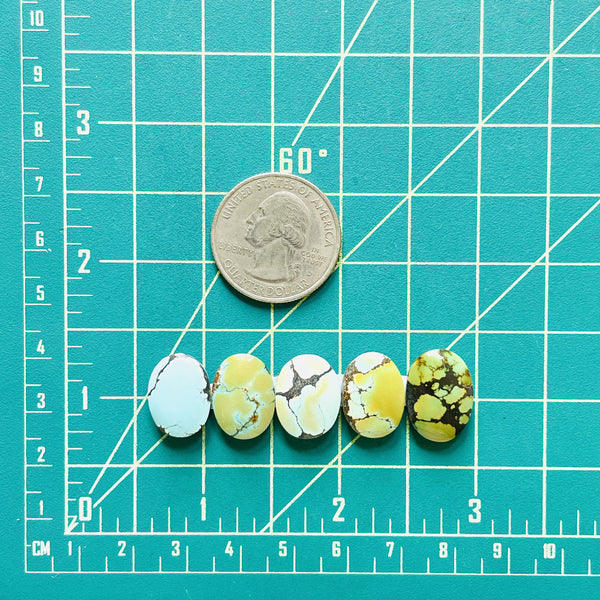 Small Mixed Oval Mixed Turquoise, Set of 5 Dimensions