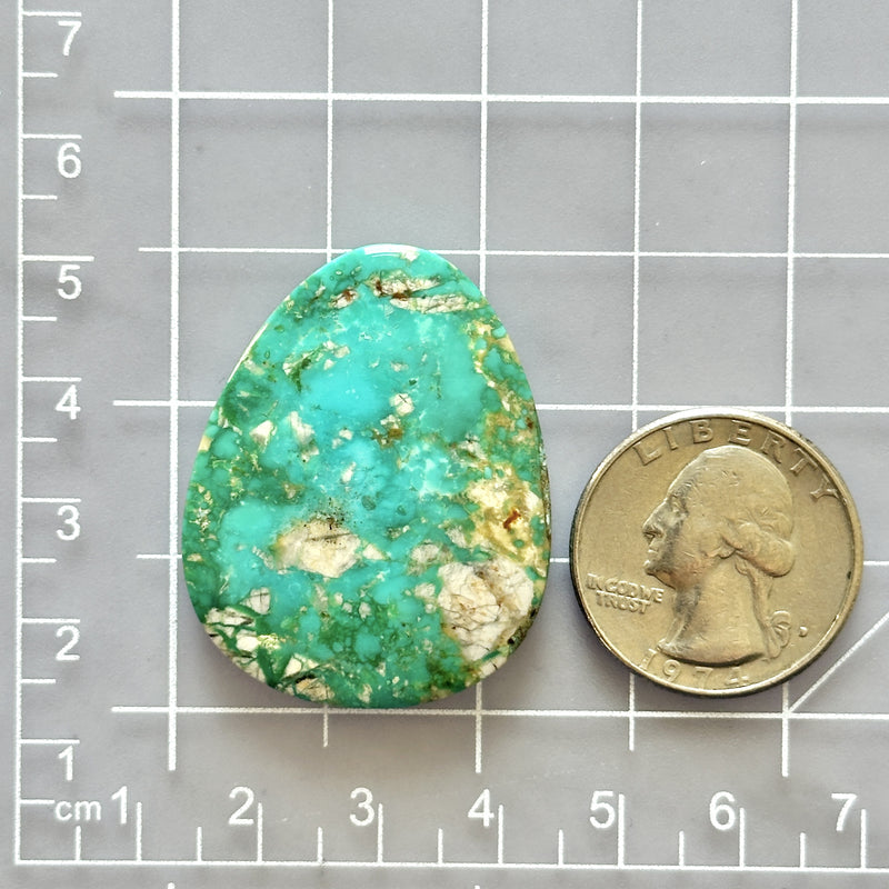 Bamboo Green Fox Turquoise Top Drilled Cab Bead – Turquoise Moose