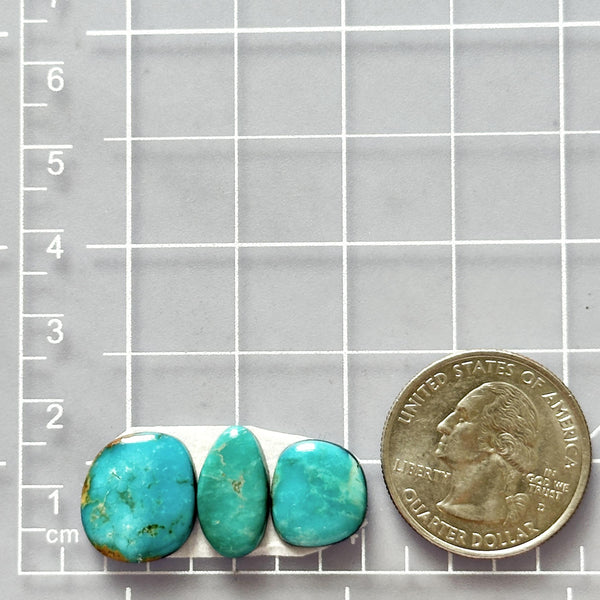 Small Sky Blue Freeform Kingman Turquoise, Set of 3 Dimensions