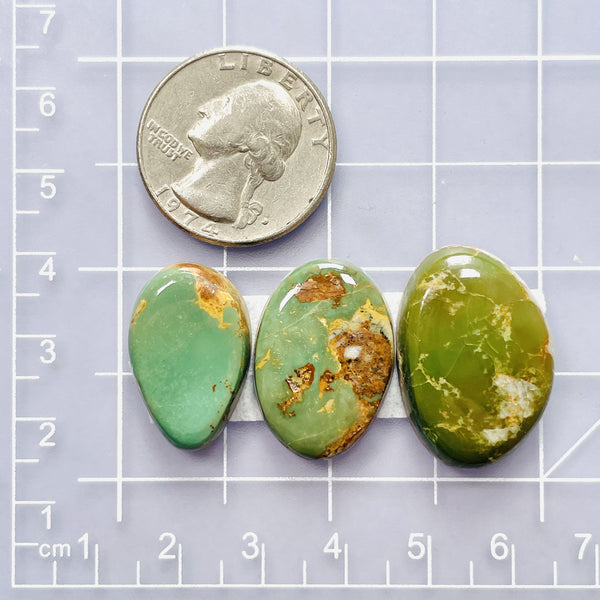 Medium Sea Green Mixed Crescent Lake Variscite, Set of 3 Dimensions