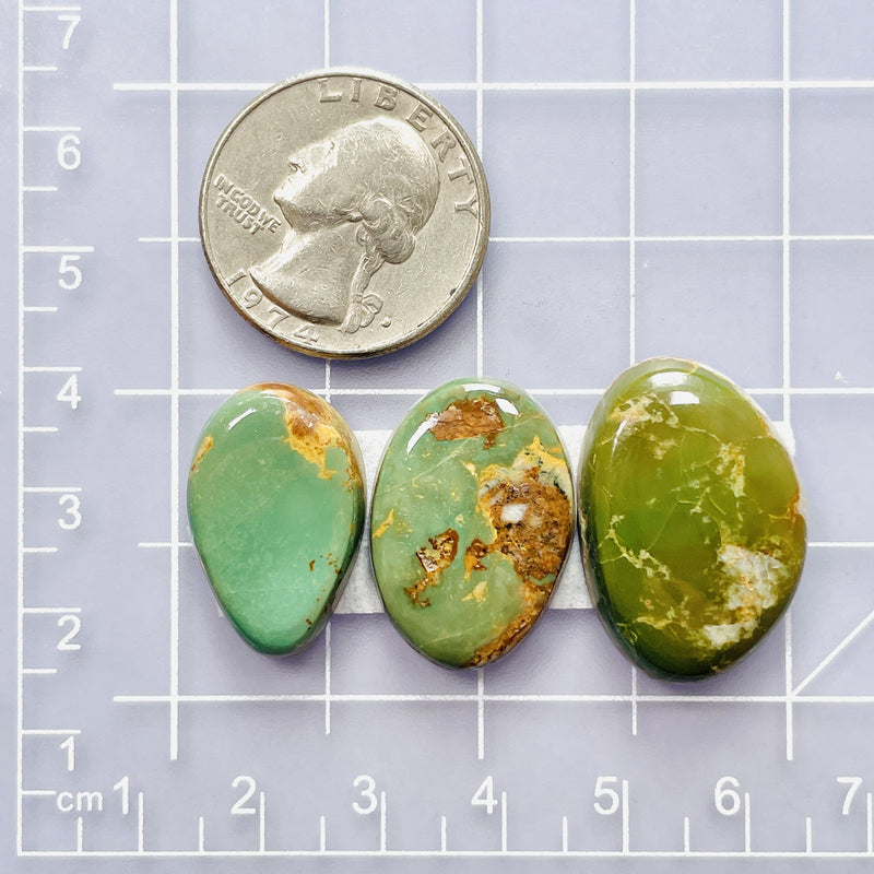 Medium Sea Green Mixed Crescent Lake Variscite, Set of 3 Dimensions