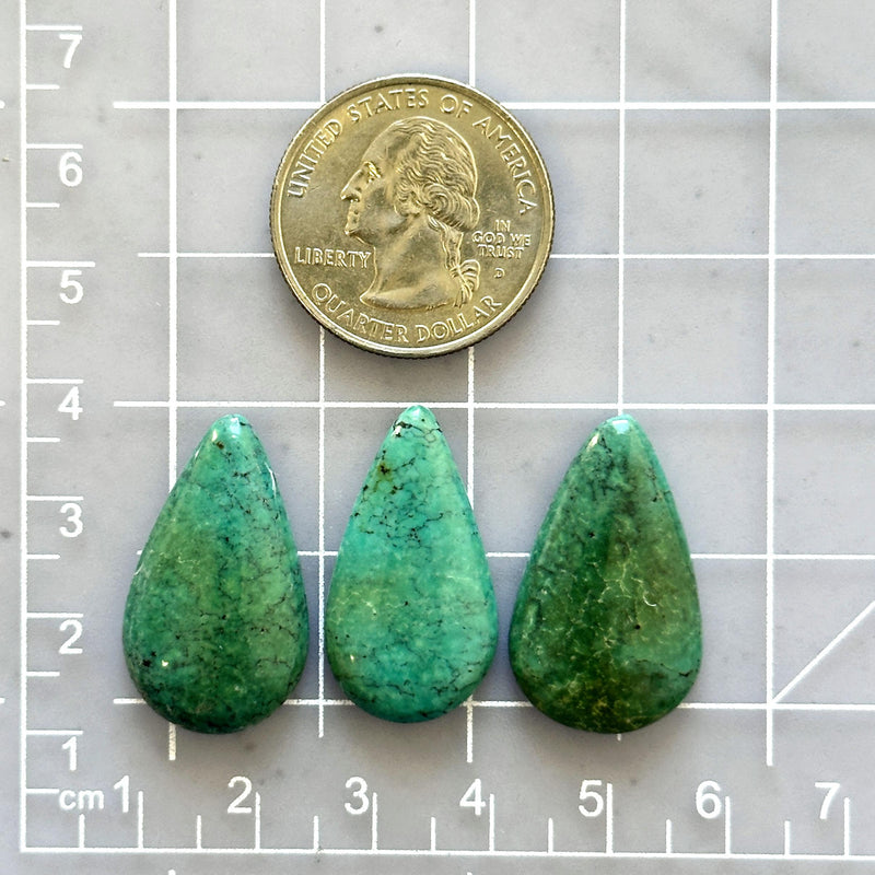Medium Sea Green Teardrop Yungai Turquoise, Set of 3 Dimensions