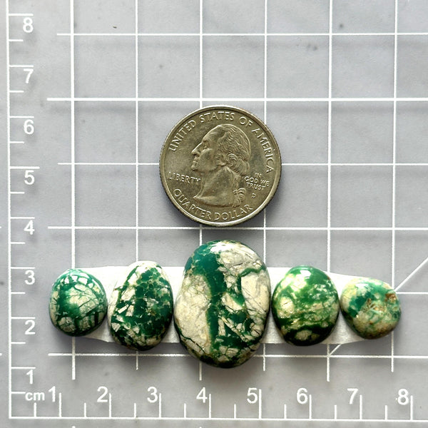 Medium Deep Green Mixed Fox Turquoise, Set of 5 Dimensions