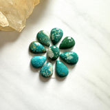 Small Deep Green Mixed Fox Turquoise, Set of 9 Background