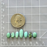Small Faint Green Oval Kingman Turquoise, Set of 7 Dimensions