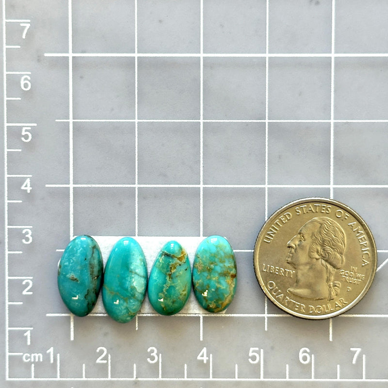 Small Sea Green Mixed Mixed Turquoise, Set of 4 Dimensions