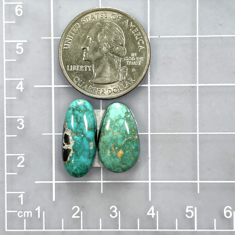 Large Deep Green Freeform Carico Lake Turquoise, Set of 2 Dimensions