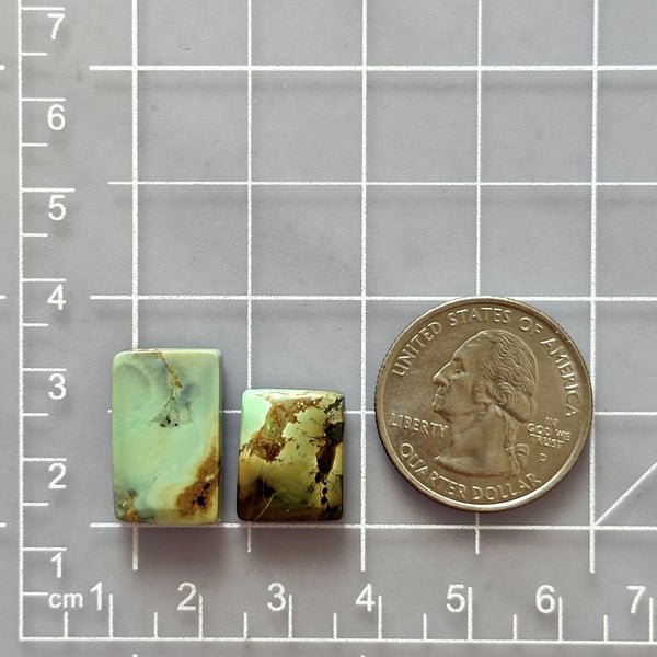 Medium Sea Green Bar Treasure Mountain Turquoise, Set of 2 Dimensions