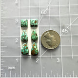 Small Bamboo Green Mixed Namtso Lake Turquoise, Set of 6 Dimensions