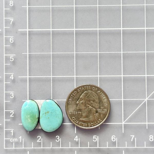 Small Sky Blue Freeform Pilot Mountain Turquoise, Set of 2 Dimensions