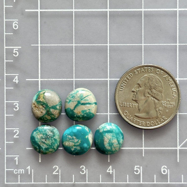 Small Sky Blue Freeform Fox Turquoise, Set of 5 Dimensions