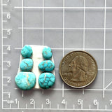 Small Sky Blue Freeform Lone Mountain Turquoise, Set of 6 Dimensions