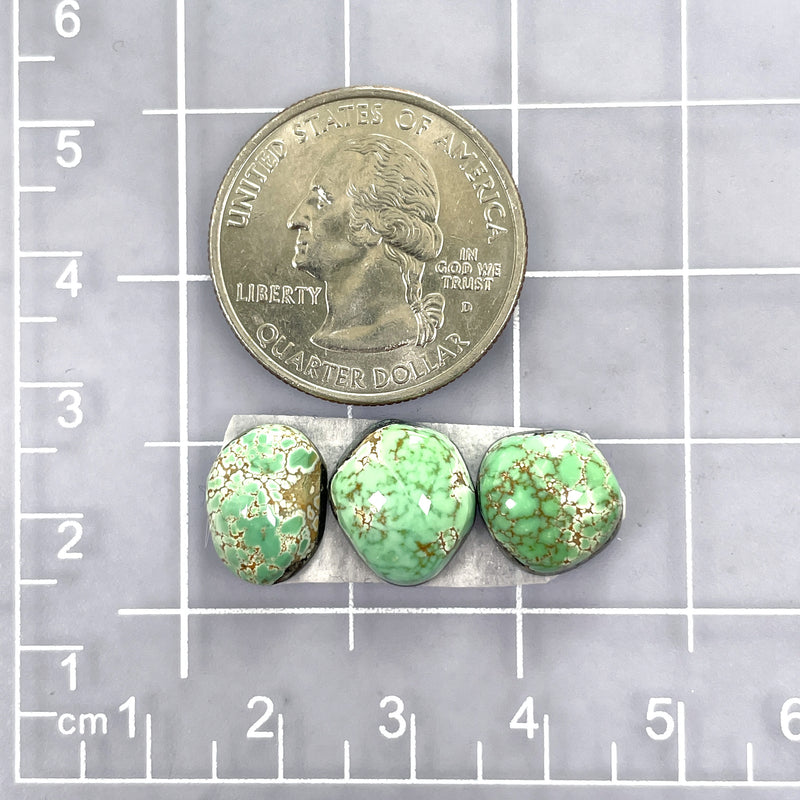 Small Mint Green Freeform Carico Lake Turquoise, Set of 3 Dimensions