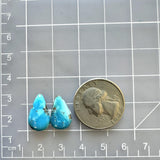 Small Sky Blue Teardrop Ithaca Peak Turquoise, Set of 2 Dimensions