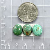 Small Mixed Freeform Carico Lake Turquoise, Set of 3 Dimensions