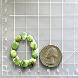 Small Lime Green Mixed Sonoran Lime Turquoise, Set of 10 Dimensions
