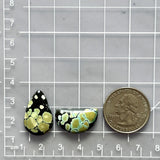 Medium Mint Green Mixed Treasure Mountain Turquoise, Set of 2 Dimensions