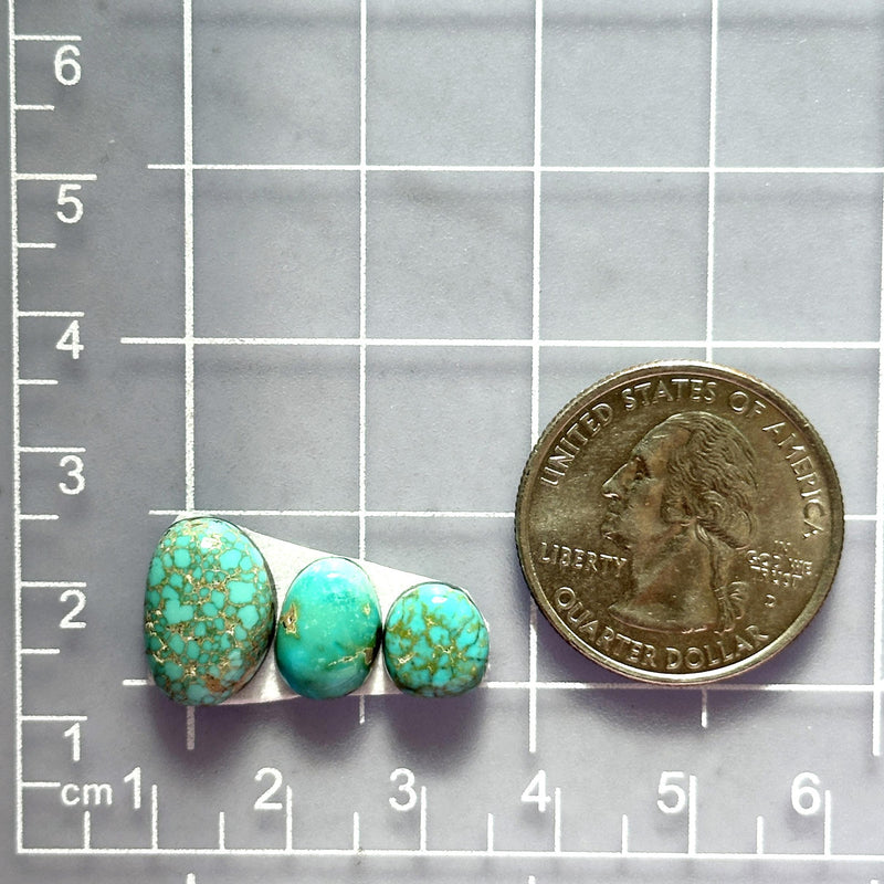 Small Sky Blue Freeform Namtso Lake Turquoise, Set of 3 Dimensions