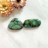 Large Bamboo Green Mixed Bamboo Mountain Turquoise, Set of 2 Background