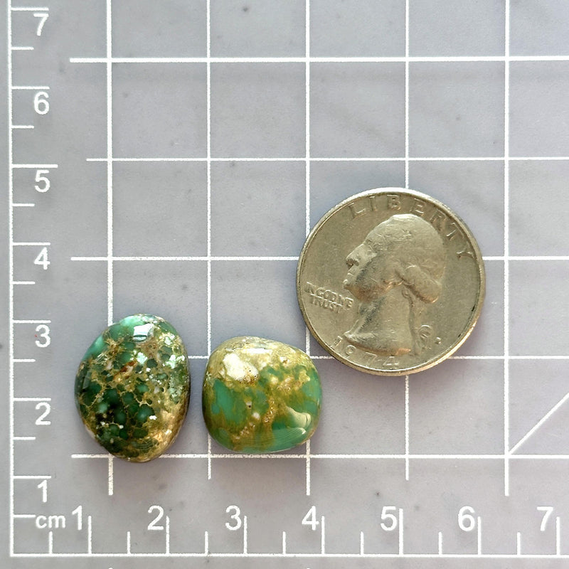 Medium Sea Green Freeform Broken Arrow Variscite, Set of 2 Dimensions