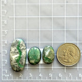 Large Sea Green Mixed Broken Arrow Variscite, Set of 3 Dimensions