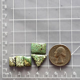 Small Mint Green Mixed Treasure Mountain Turquoise, Set of 5 Dimensions
