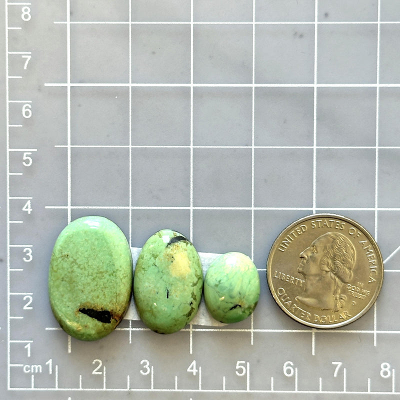 Large Mint Green Mixed Crescent Lake Variscite, Set of 3 Dimensions