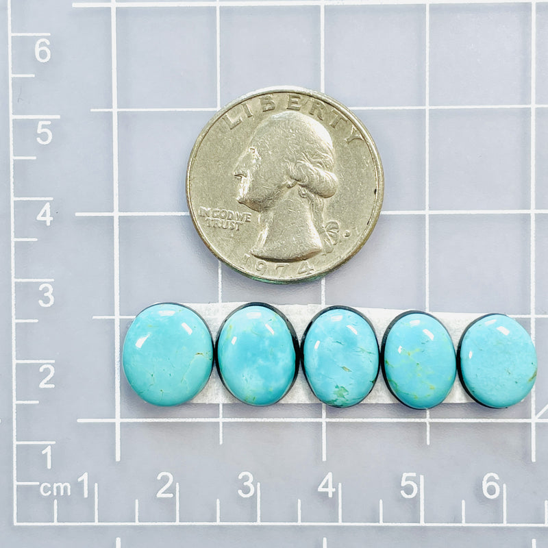 Small Sky Blue Mixed Tyrone Turquoise, Set of 5 Dimensions