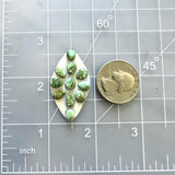 Small Lime Green Mixed Sonoran Lime Turquoise, Set of 11 Dimensions
